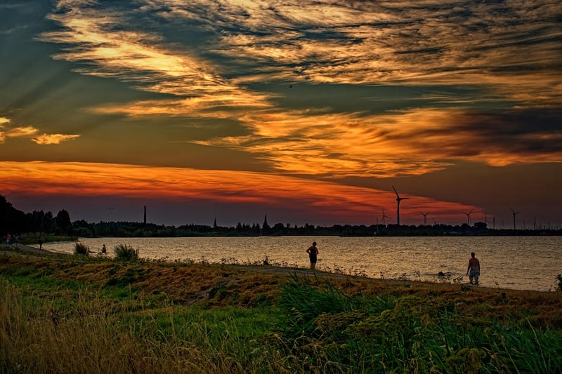 Connect with fellow gardeners